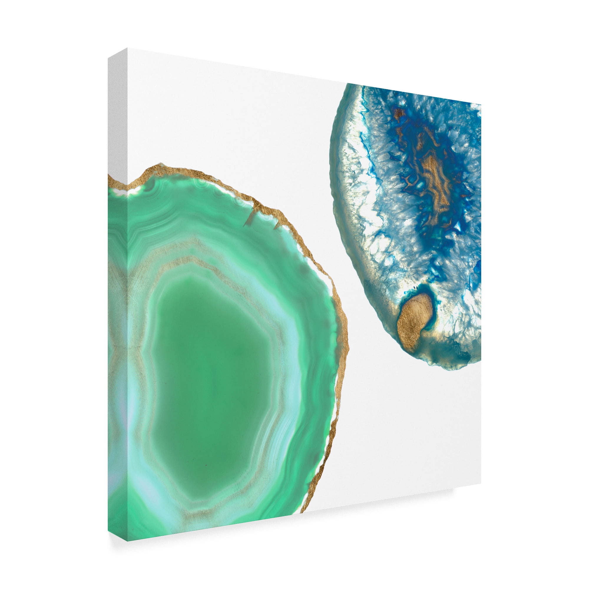 Trademark Fine Art 'Gem Stones IV' Canvas Art by Jennifer Goldberger