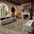 thumbnail image 4 of BERTHMEER 8'x10' Area Rugs for Living Room Vintage Brown Carpets for Bedroom Office Machine Washable Large Farmhouse Dining Room Oriental Rugs Non Slip Traditional Distressed Rugs, 4 of 8