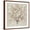 Brown Frame, variant on Art.com Peach Blossom Stretched Canvas Print Wall Art by Asia Jensen, 24" x 24"