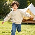 thumbnail image 2 of Edvintorg Boys Sweatshirt Solid Color Crew Neck Long Sleeve Loose Casual Pullover Top Boys Clothes Size 3-12, 2 of 7