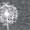 Dark Gray1, variant on Giffimy Women's Minimalist White Dandelion with Seeds S-5XL V-Neck Sleeveless T-Shirt Fashion Nature Tank Top