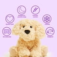 thumbnail image 2 of Push Animal Warmies Golden Dog, apta para microondas, con aroma a lavanda, 2 of 8