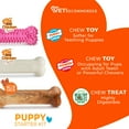 thumbnail image 4 of Nylabone Puppy Chew Dog Toy Starter Kit, Dog Chew Toys with Healthy Edibles Dog Treats, Chicken & Bacon Flavor, Pink, Small, 3 Pack, 4 of 11
