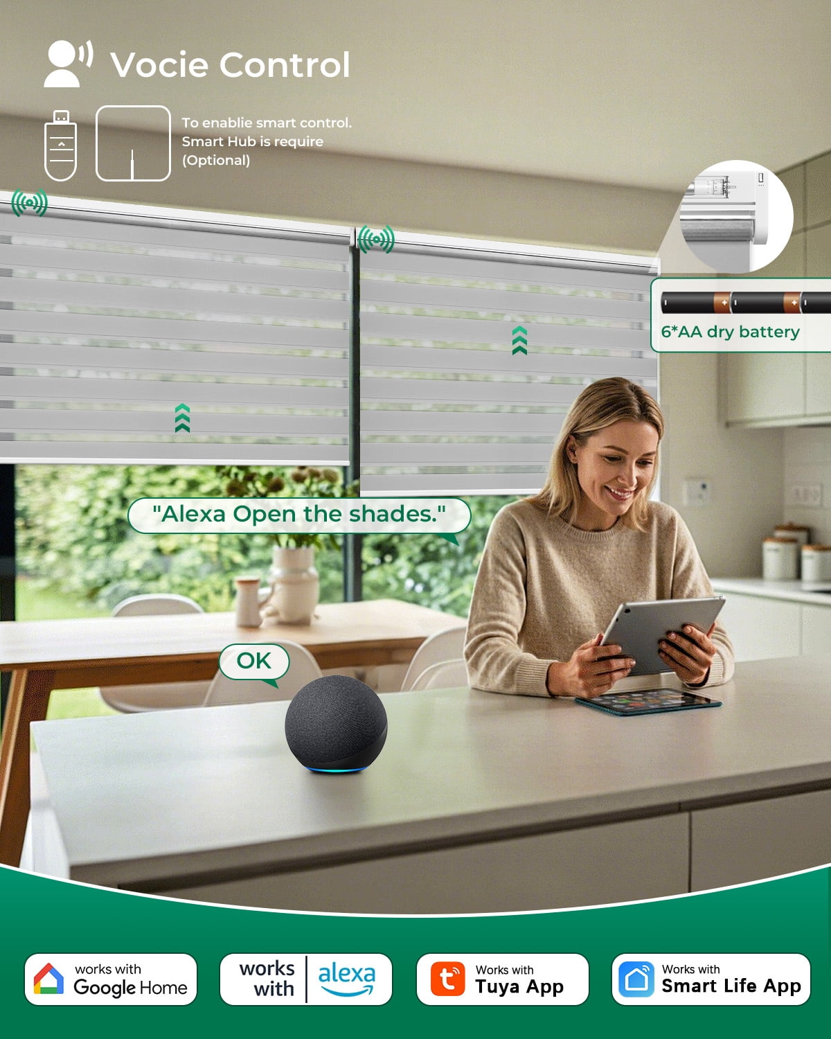 Allesin Motorized Zebra Blinds with Remote, Electric Dual-Layer Shades with Dry Battery-Powered, Smart Horizontal Window Blind with Privacy Light Control (Gray 34"W x 72"H)