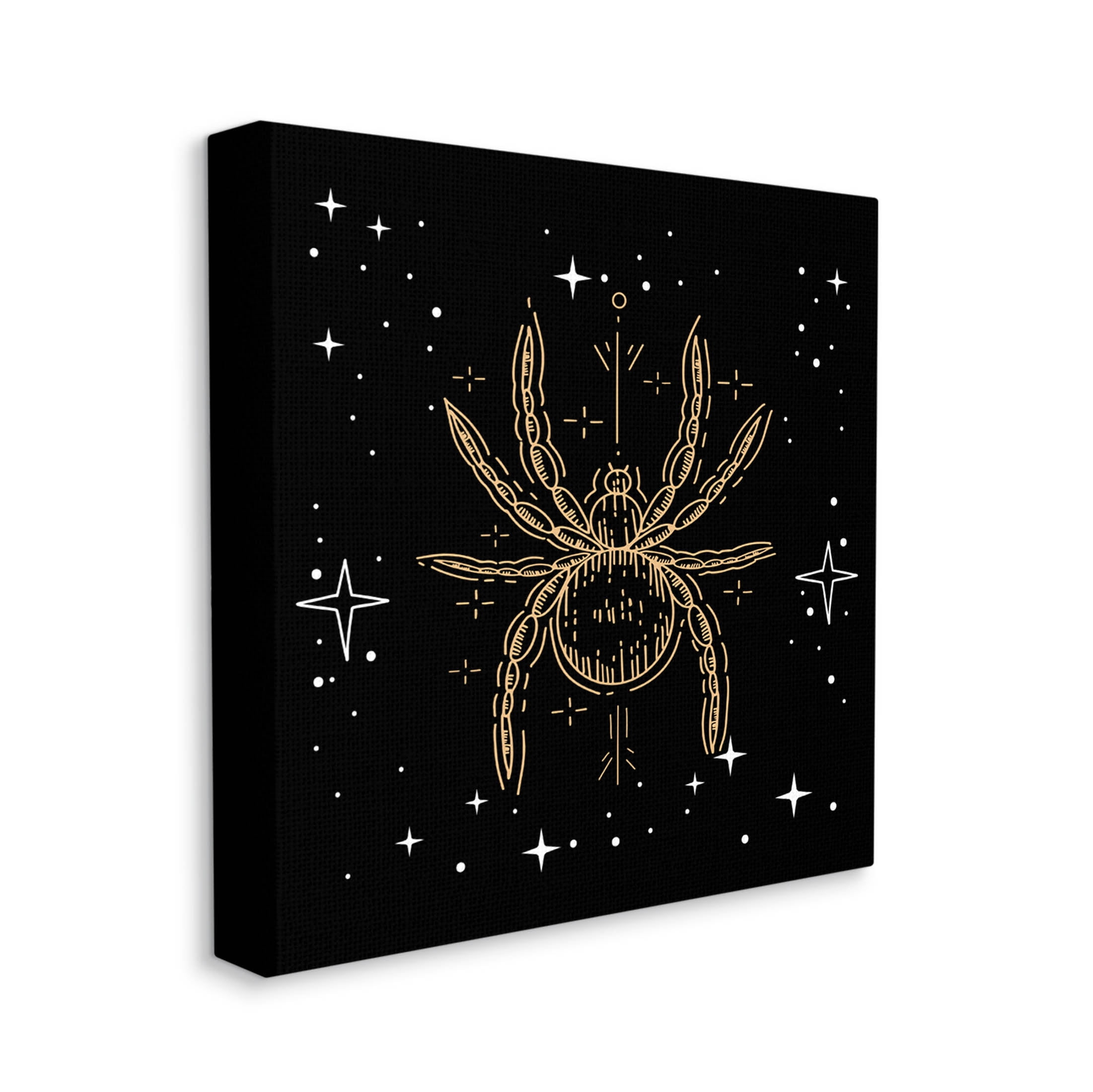 Stupell Industries Starry Halloween Spider Insect Graphic Art Gallery Wrapped Canvas Print Wall Art, Design by Lil' Rue