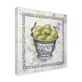 thumbnail image 2 of Trademark Fine Art 'Limes In A Silver Bowl' Canvas Art by Debra Lake, 2 of 3