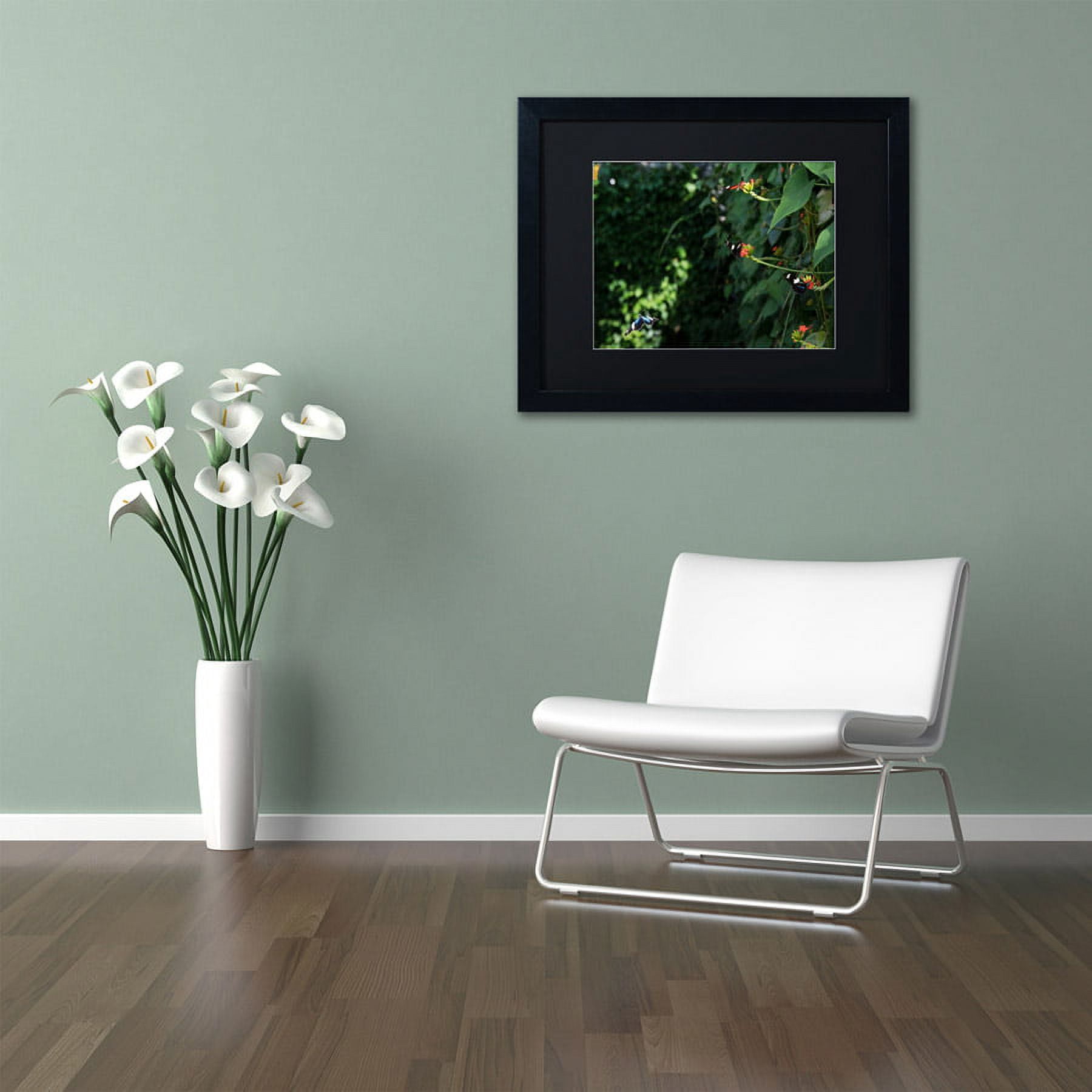 Trademark Fine Art "Butterflies" Canvas Art by Kurt Shaffer, Black Matte, Black Frame