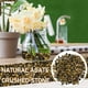 thumbnail image 4 of Piedras decorativas Pedty, grava pulida de grano fino de cristal natural, piedra de río decorativa, grava para plantas ornamentales, acuarios, plantas en maceta, suculentas y bonsáis., 4 of 4