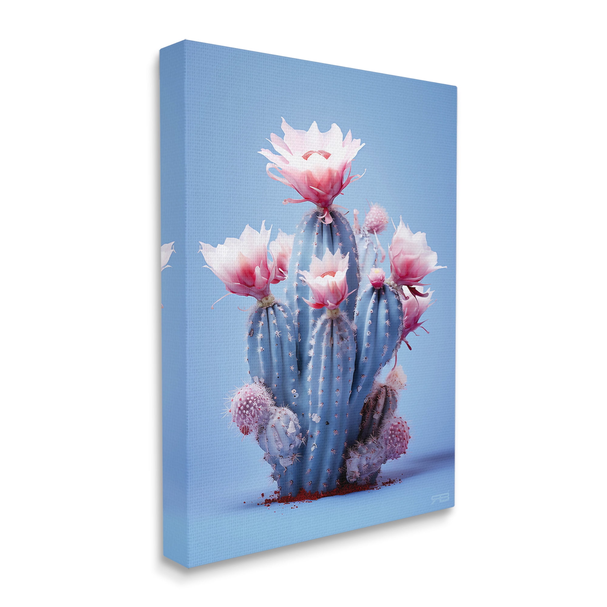 Stupell Industries Pink & Blue Cactus Flowers Botanical & Floral Painting Gallery Wrapped Canvas Art Print Wall Art, 30 x 40
