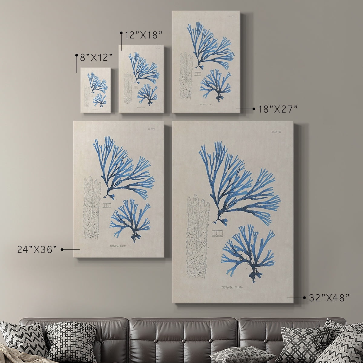 Blue Marine Algae V Premium Gallery Wrapped Canvas - Ready to Hang