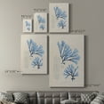 thumbnail image 4 of Blue Marine Algae V Premium Gallery Wrapped Canvas - Ready to Hang, 4 of 9