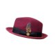 thumbnail image 4 of Sombrero Fedora, sombrero Trilby clásico para viajes, accesorio de disfraz, boda, fiesta, cosplay. Rojo, 4 of 9