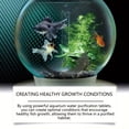 thumbnail image 4 of Aquarium Water Purification Tablets | Fish Tank Water Clarifier & Purifying Agent for Freshwater Tanks | 40 Tablets for Water Quality Maintenance & Fish Health, 4 of 9