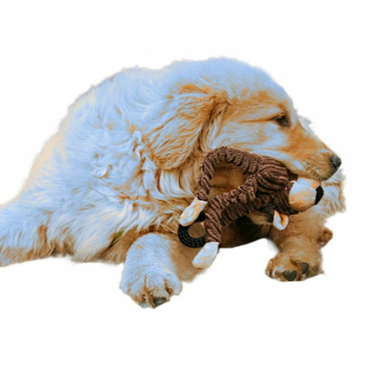 Squeaker Dog Toy Chew Resistant Durable Plush Soft Tough