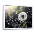 thumbnail image 2 of Designart "White Black Dandelion III" Floral Floater Framed Wall Art Living Room, 2 of 7