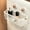 💖White_Base#335, variant on Kitchen Storage Basket, Wall Mounted Ginger Garlic Organizer with Suction Cup, Non Perforated Iron Hanging Rack for Vegetables Fruit Bathroom Toiletries