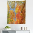thumbnail image 1 of Fall Tapestry, Falls Colors National Country Park Nature Observation Base Perspective Photo, Fabric Wall Hanging Decor for Bedroom Living Room Dorm, 5 Sizes, Orange Blue Green, by Ambesonne, 1 of 1