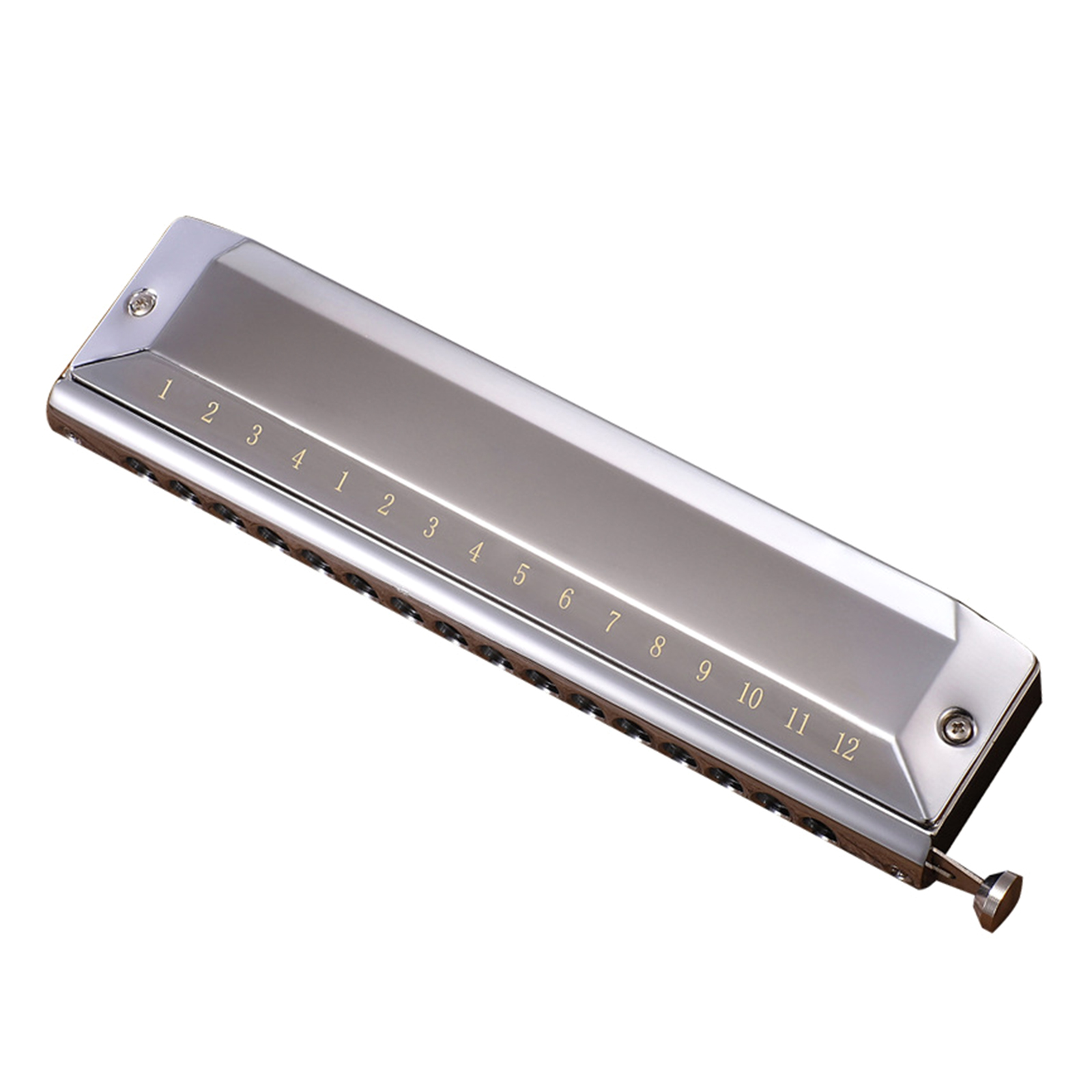 Blues Harmonica in C, 16 Holes Blues Harp Diatonic Harmonica C, Mouth Organ harmonica in C For Adults, Beginners