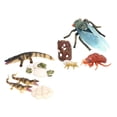 thumbnail image 4 of Ciclo de modelo niño Baoblaze 9 piezas Juguete de enseñanza temprana Juego de crecimiento de insectos para niños, 4 of 8