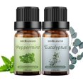 thumbnail image 1 of shiyou-Eucalyptus Peppermint Essential Oil Set, 100% Pure Aromatherapy Oils for Diffuser, Massage, Bath Bombs, Perfume, 1 of 4