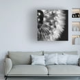 thumbnail image 3 of Aledanda 'Dandelion on Black III' Canvas Art, 3 of 3