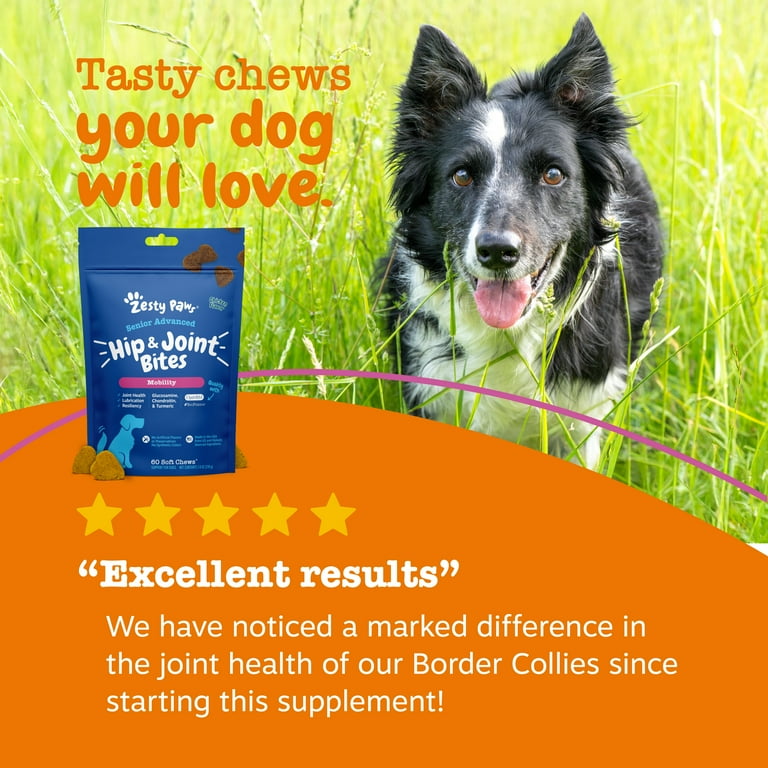 Zesty Paws Senior Advanced Hip Joint Mobility Bites, Chicken