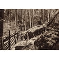 thumbnail image 2 of World War 1. A German Trenches In The Vosages Mountains. They Incorporated Boulders And Logs In Their Defensive, 2 of 2