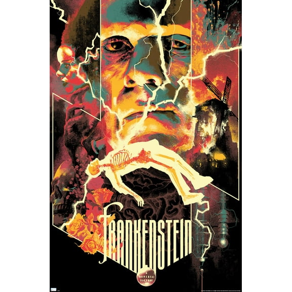 Frankenstein - Collage Wall Poster, 22.375" x 34"