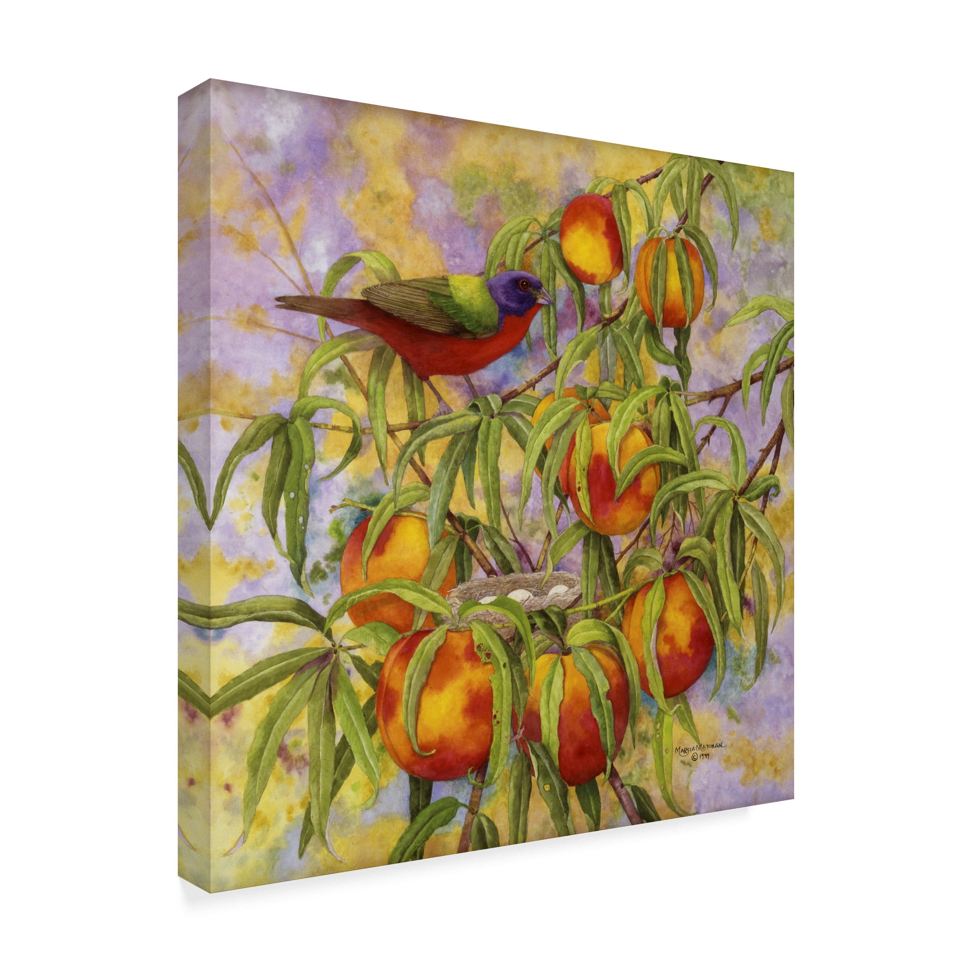 Trademark Fine Art 'Painted Bunting And Peaches' Canvas Art by Marcia Matcham
