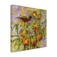 thumbnail image 2 of Trademark Fine Art 'Painted Bunting And Peaches' Canvas Art by Marcia Matcham, 2 of 4