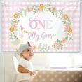 thumbnail image 3 of Pink One Silly Goose Cute Backdrop Silly Goose 1st Birthday Decorations for Boy Green Gingham 1st Birthday Party Banner Cute Cartoon Birthday Party Supplies, 3 of 4