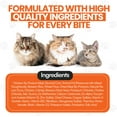 thumbnail image 6 of Cat by Scoochie Sensations Mixed Variety Pack Catnip, Chicken, Tuna Filled Crunchy Cat Treats, 3CT, 6 of 6