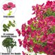 thumbnail image 3 of Flores artificiales Grunyia Daisy, 16 paquetes, resistentes a los rayos UV, 3 of 7