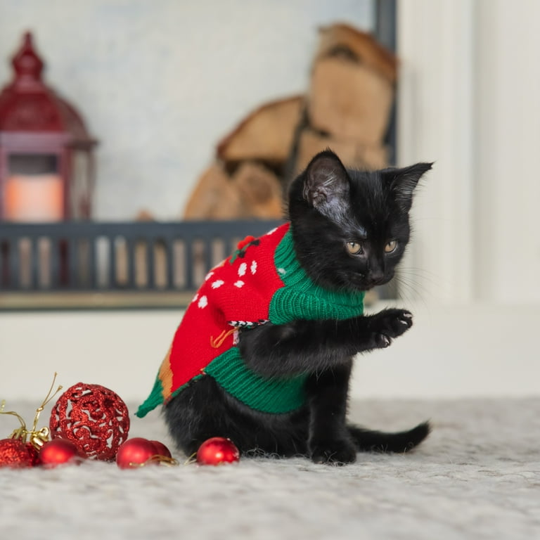 Holiday cat sweater cheap