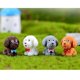 thumbnail image 3 of 4pcs Mini Animales De Adornos En Miniatura Lindo Regalo De Casa De Muñecas De Perro De Peluche Baoblaze Micro Landscape Decoration, 3 of 8