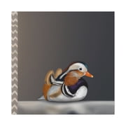 Mandarin Duck Reflection - Canvas