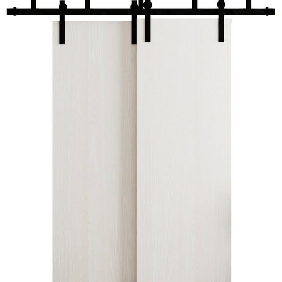 Sliding Modern Barn Bypass Doors 36 x 80 in - LUNO 1003 Ash - Modern 6.6ft Rails Hardware Set - Wood Solid Bedroom Wardrobe Doors