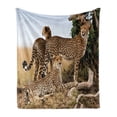 thumbnail image 1 of Africa Soft Flannel Fleece Throw Blanket, Cheetahs Mother and 2 Young Baby Looking for Food Dangerous Exotic Animals, Cozy Plush for Indoor and Outdoor Use, 50" x 60", Tan Black, by Ambesonne, 1 of 6