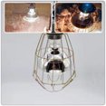 thumbnail image 3 of WHAMVOX 3 Pcs Garde-Ampoule en Métal Fer Doré pour Soins des Animaux, 3 of 8