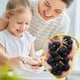 thumbnail image 4 of Grape Shape Handmade Soap Fast Effect Water-Oil Balance Soap Grape Home Decor & Gift for Men Women, 4 of 5