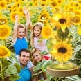 thumbnail image 3 of Lámpara LED de girasol Touloube con cúpula de vidrio, regalo para mamá, 3 of 8