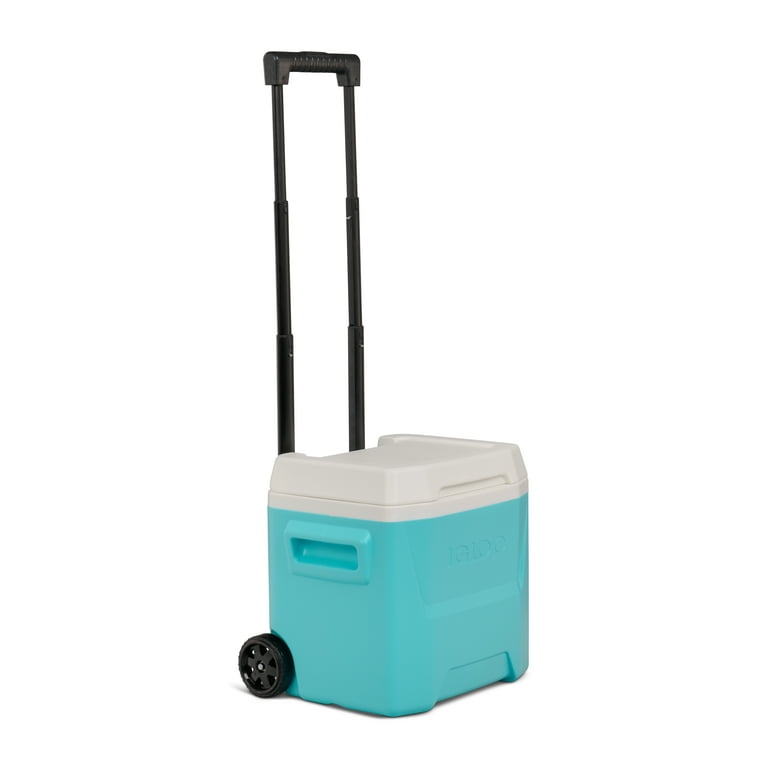 Ice Chest Small Coolers On Sale Small Igloo Ice Coolers Small