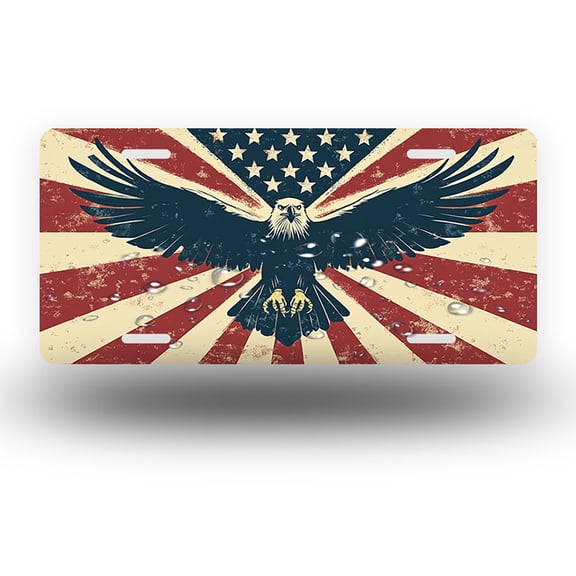 License Plate,Eagle with Spread Wings on Flag Decorative Front,Personalized Stainless Steel License Plate Cover For Men Women,12.2" X 6.2"