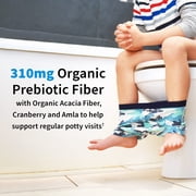Garden of Life Dr. Formulated Probiotics Organic Kids+, Strawberry Banana, 30 Chewables