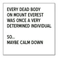 thumbnail image 1 of DistinctInk Custom Bumper Sticker - 6" x 6" Decorative Decal - White Background - Every Dead Body on Everest - Calm Down, 1 of 2