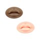 thumbnail image 1 of Práctica de labios,Labios suaves 5D Práctica Piel de silicona ,Principiantes permanentes de la piel de la práctica de los labios del silicón 5D,Piel profesional Zulema Práctica de labios, 1 of 4