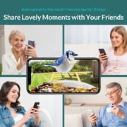 Netvue Birdfy Bird Feeder with Camera, Smart Bird Camera with Solar Panel, AI Identify 6000+ Species, Ideal Gift