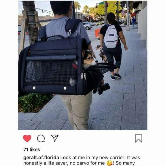 Prefer Pets 358XXL-BK 24 x 16 x 12 in. Hideaway Backpack Pet Carrier, Black - 2XL