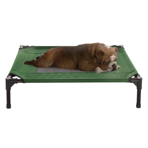 PETMAKER Raised Cot-Style Pet Bed - Green, 30" x 24"