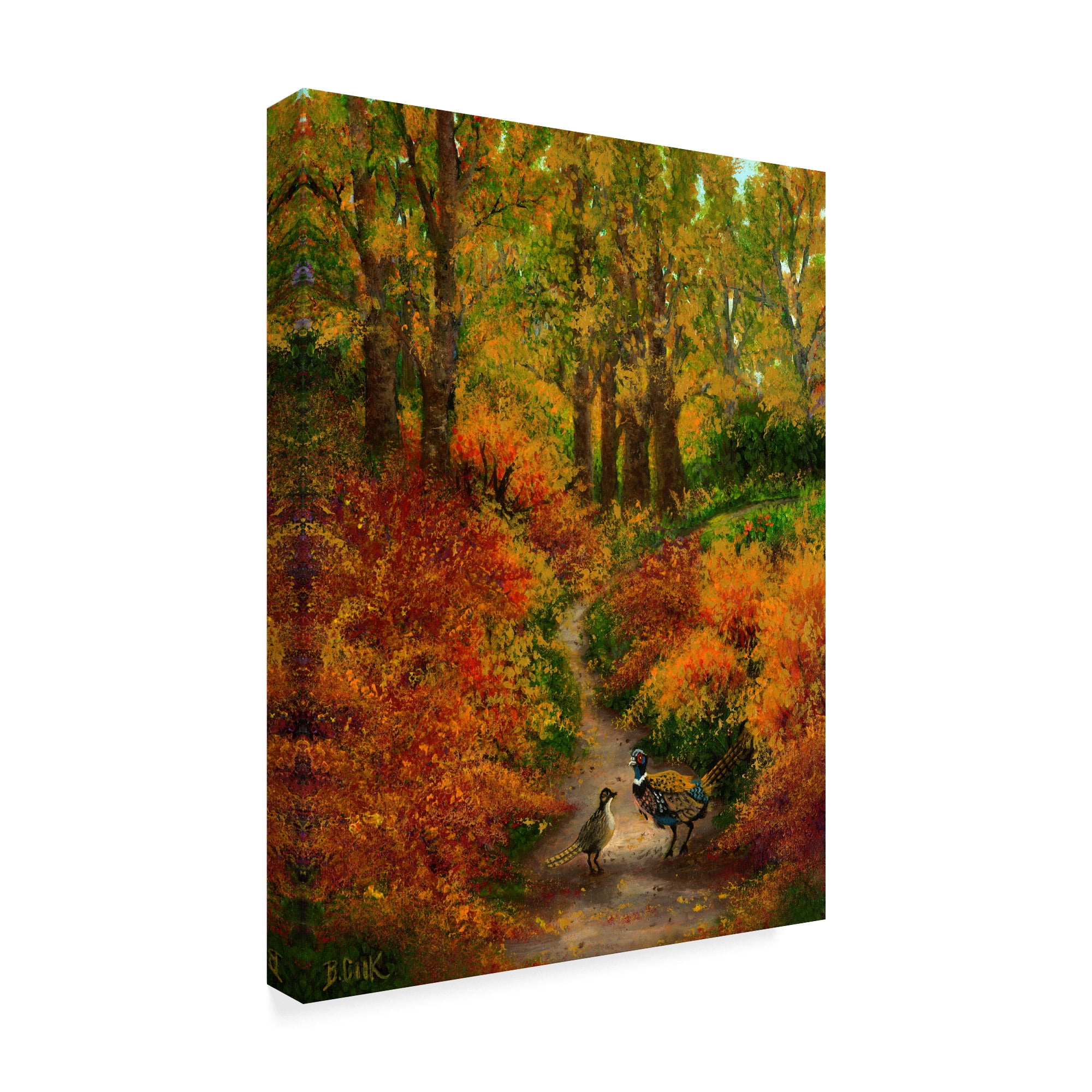 Trademark Fine Art 'Pheasant Road' Canvas Art by Bonnie B Cook
